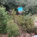Villa Maison Bois 90m2 Garrigue Calme St Guilhem Gorges Argelliers
