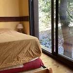 Maison Bois 90m2 Garrigue Calme St Guilhem Gorges