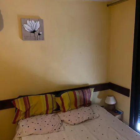 Maison Bois 90m2 Garrigue Calme St Guilhem Gorges