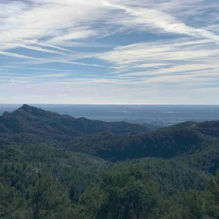 Maison Bois 90m2 Garrigue Calme St Guilhem Gorges