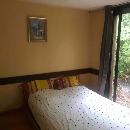 Maison Bois 90m2 Garrigue Calme St Guilhem Gorges Argelliers