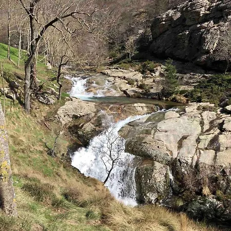 Maison Bois 90m2 Garrigue Calme St Guilhem Gorges