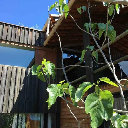 Maison Bois 90m2 Garrigue Calme St Guilhem Gorges *