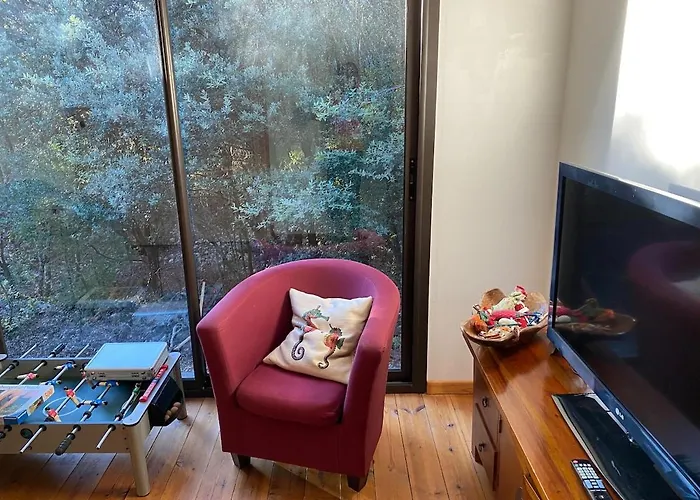 Maison Bois 90m2 Garrigue Calme St Guilhem Gorges *