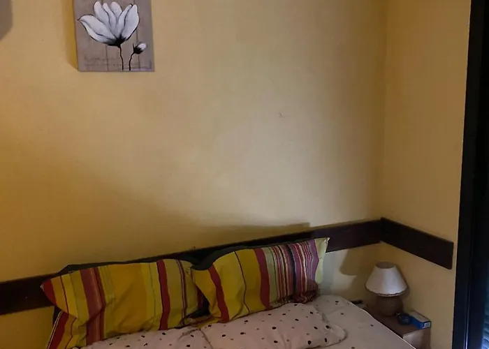 Maison Bois 90m2 Garrigue Calme St Guilhem Gorges