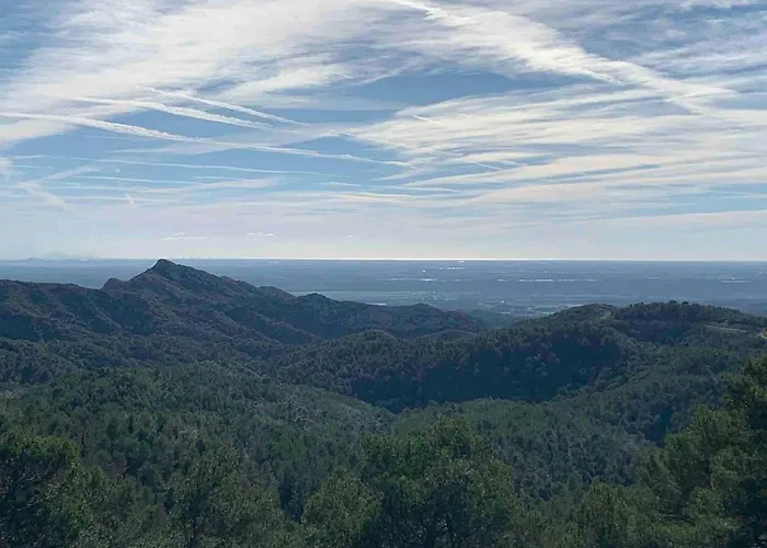 Maison Bois 90m2 Garrigue Calme St Guilhem Gorges