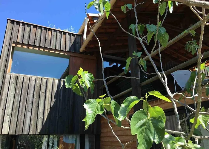 Maison Bois 90m2 Garrigue Calme St Guilhem Gorges *