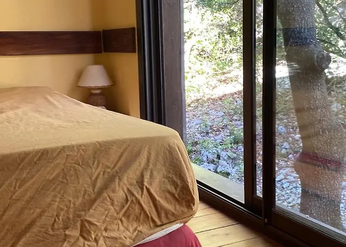 Maison Bois 90m2 Garrigue Calme St Guilhem Gorges