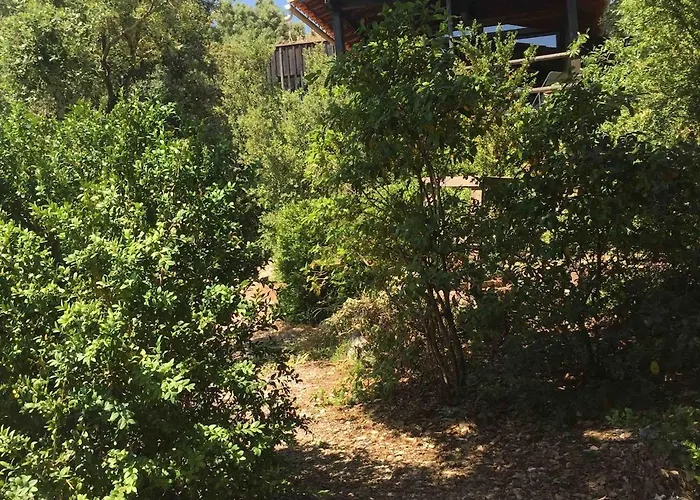 Maison Bois 90m2 Garrigue Calme St Guilhem Gorges *