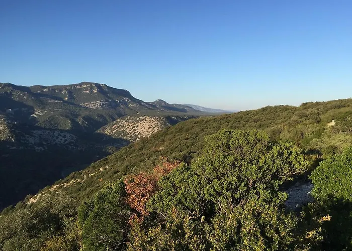 Maison Bois 90m2 Garrigue Calme St Guilhem Gorges Villa
